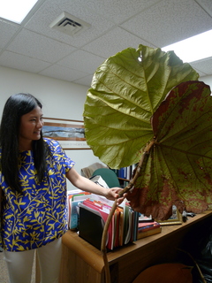 P1150621.JPG