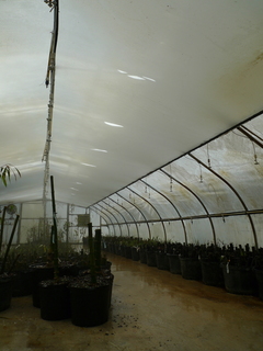 P1150748.JPG