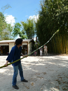 P1150863.JPG