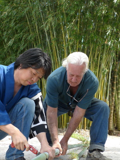 P1150872.JPG