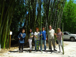 P1150882.JPG