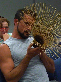 P1160177.JPG
