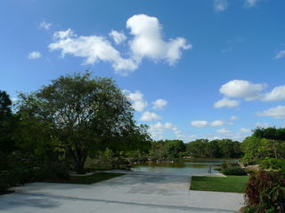 P1160220.JPG