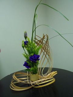 P1160753.JPG
